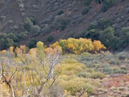 2008Fallcolors-35